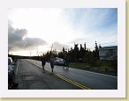 IMG_0023 * 3264 x 2448 * (1.4MB)